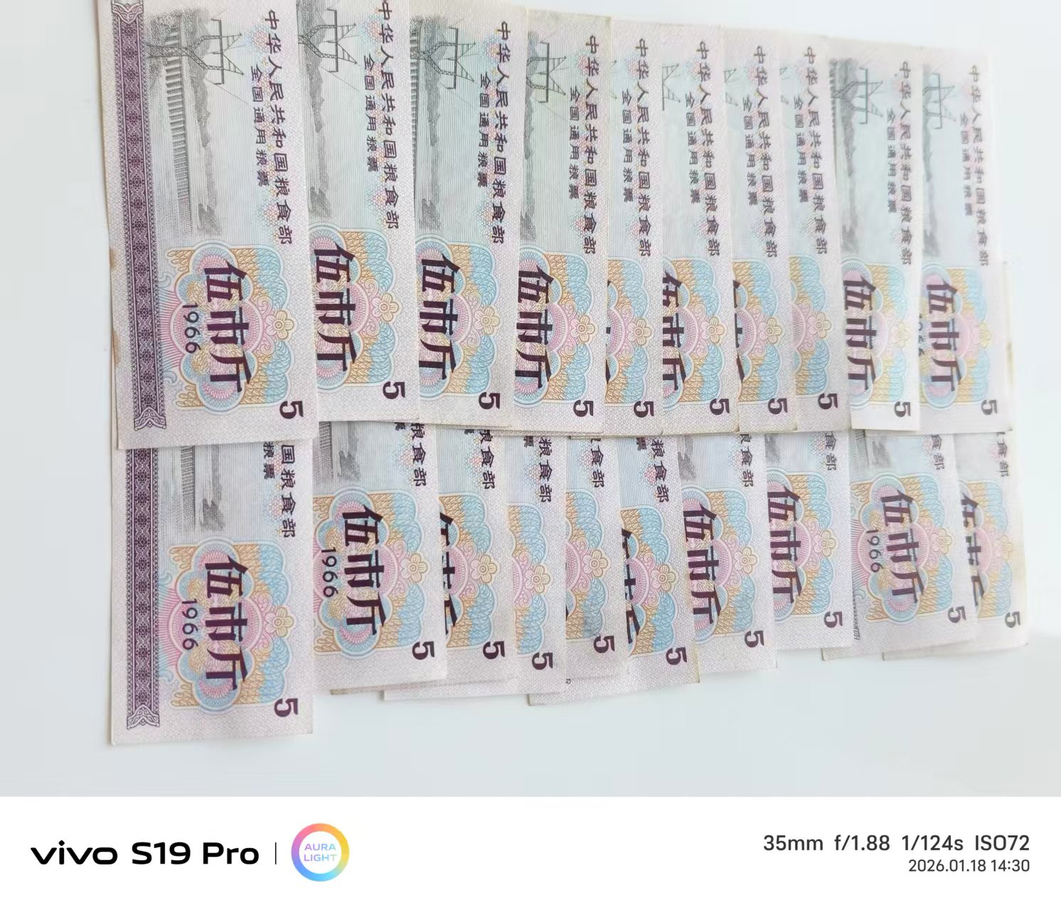 e9a15a81-f413-4083-9781-9d32e1c515c8