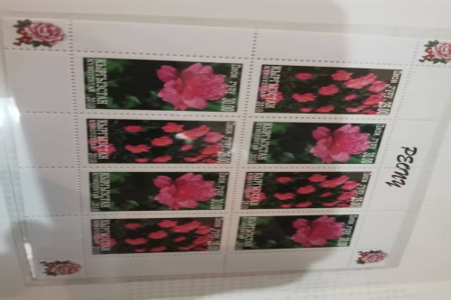 一位来自河南省三门峡市的秦老师，有一些藏品和很好的老物件，急需找到爱好的收藏家，有意者请联系我。目前藏友老师比较着急，只要您是真心诚意想要收藏，一切好商量。