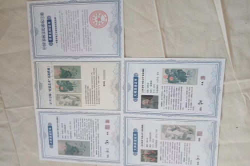 一位来自河北省廊坊市的秦老师，有一些藏品和很好的老物件，急需找到爱好的收藏家，有意者请联系我。目前藏友老师比较着急，只要您是真心诚意想要收藏，一切好商量。