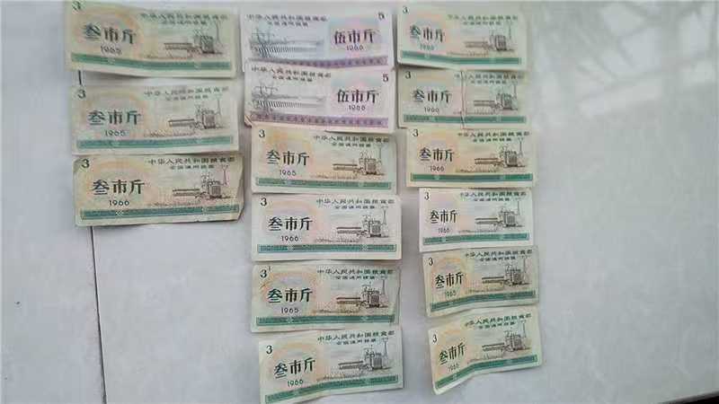 d4c5b506-a661-4ef6-9e1b-2e74a94df45e