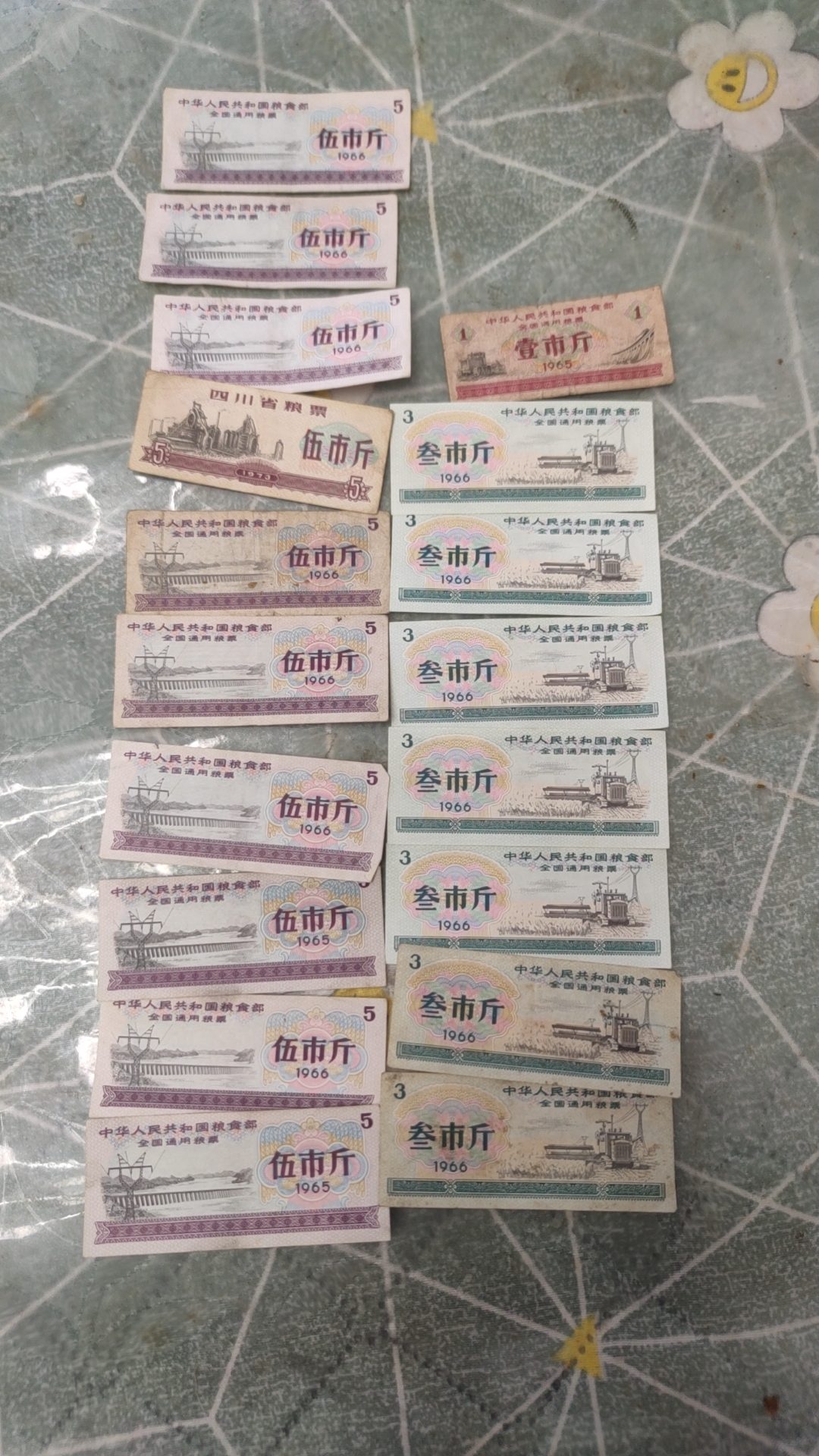 246edf4d-a2ca-4350-b81e-2d6a2073354b 246edf4d-a2ca-4350-b81e-2d6a2073354b