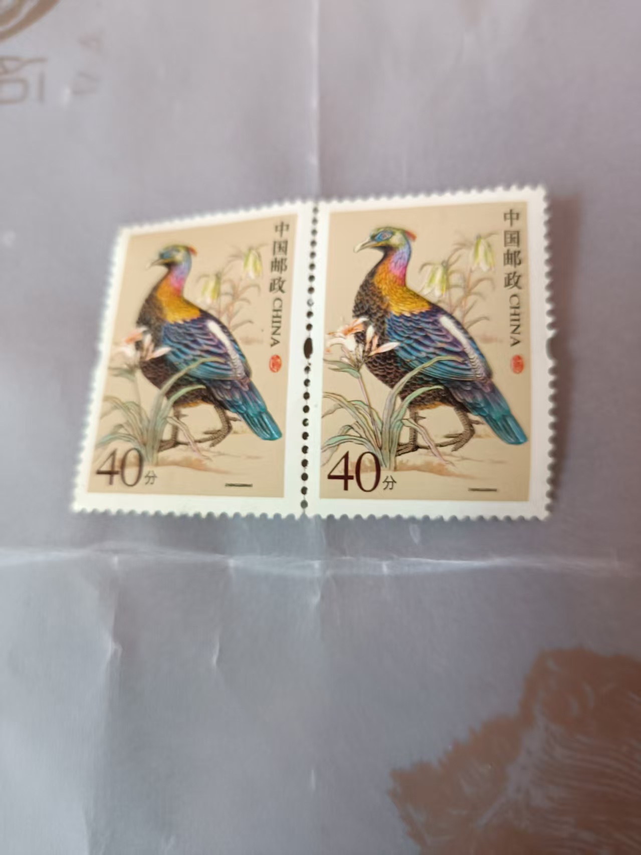 1d54b2bad5f1c03d7d79fcda509a0870